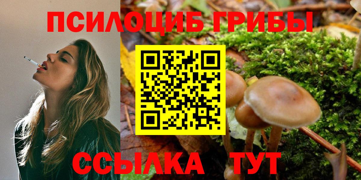 Галлюциногенные грибы мицелий  продажа наркотиков  Беслан 