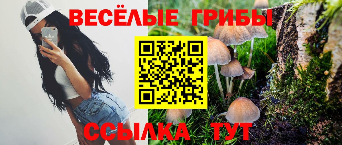 Галлюциногенные грибы MAGIC MUSHROOMS Беслан