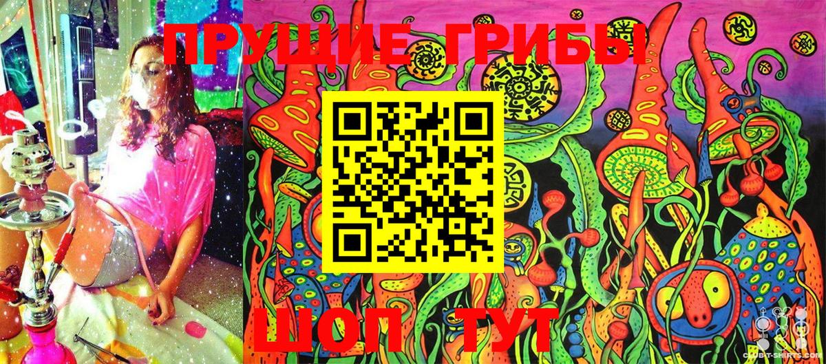 Беслан  Псилоцибиновые грибы ЛСД  Псилоцибиновые грибы Psilocybe  Вход с VPN 